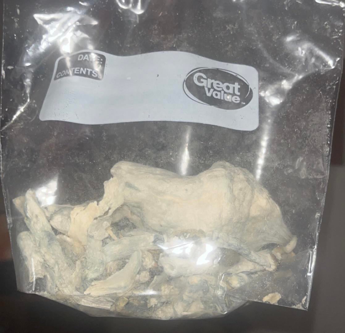Penis Envy Albino Shrooms Dried Penis Envy Albino Shrooms Dried